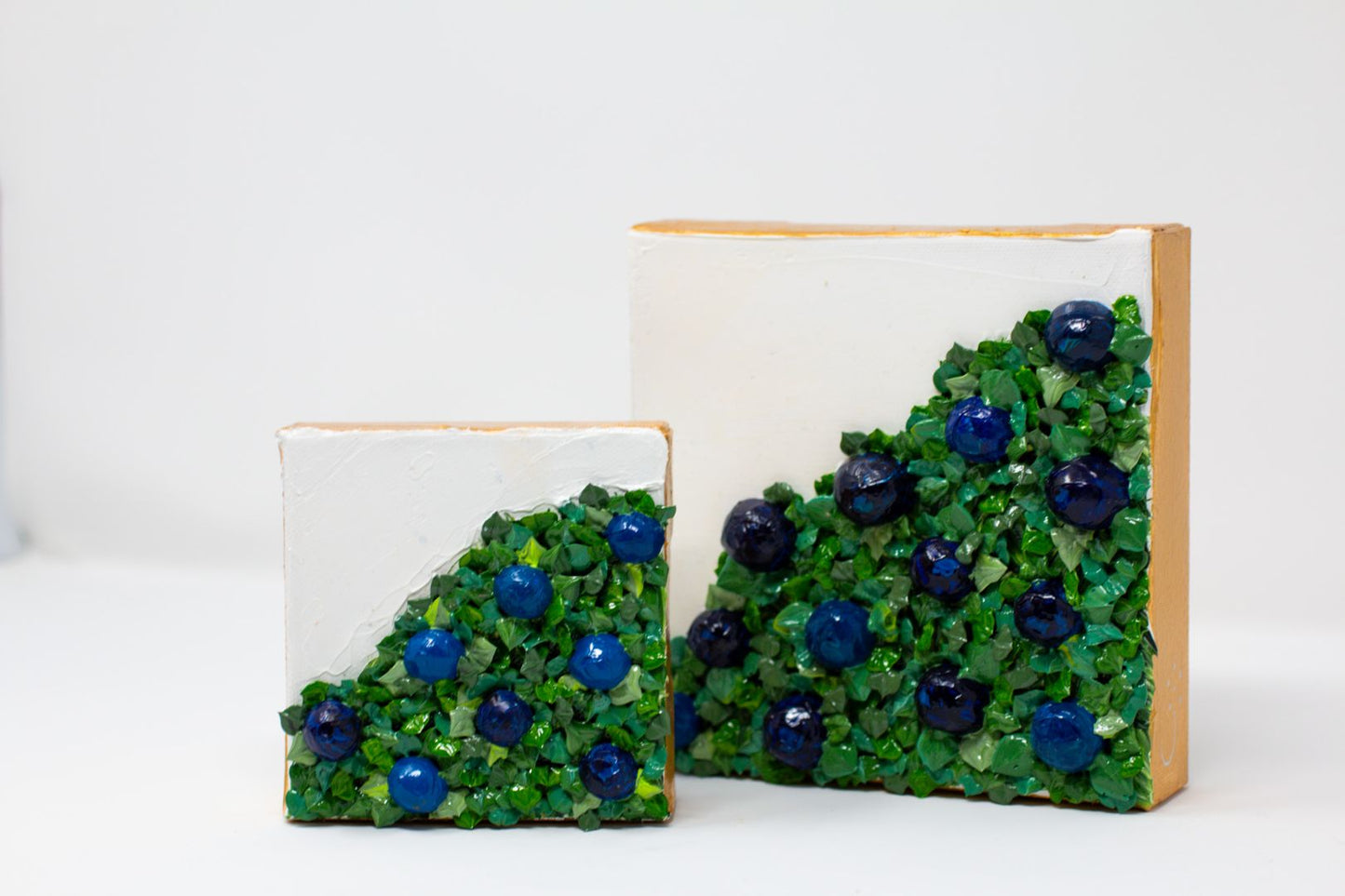 Blueberries