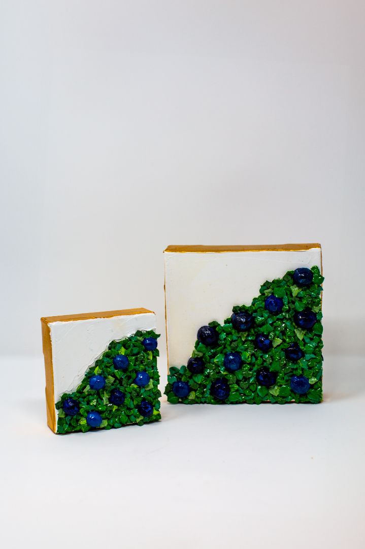 Blueberries
