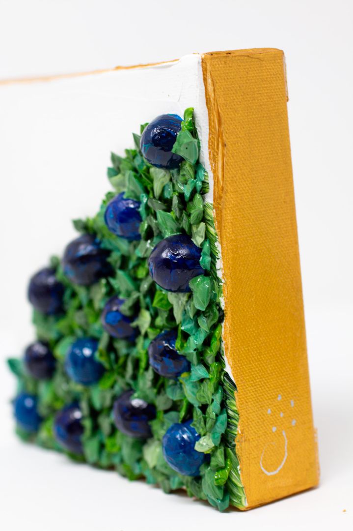 Blueberries