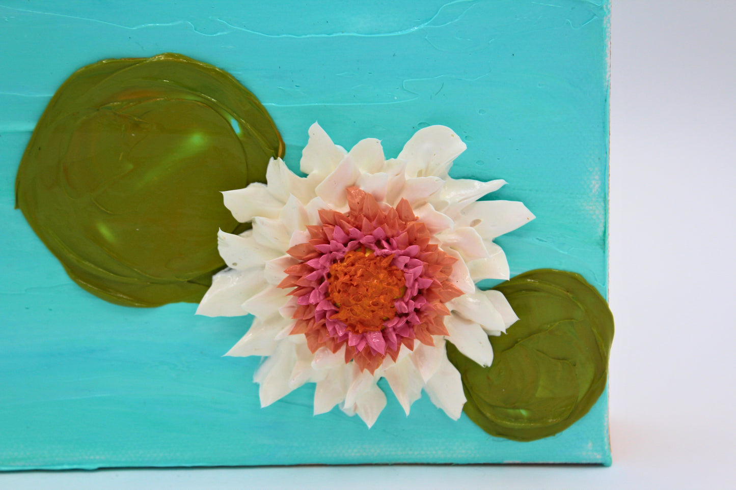 White and Pink Water Lilly