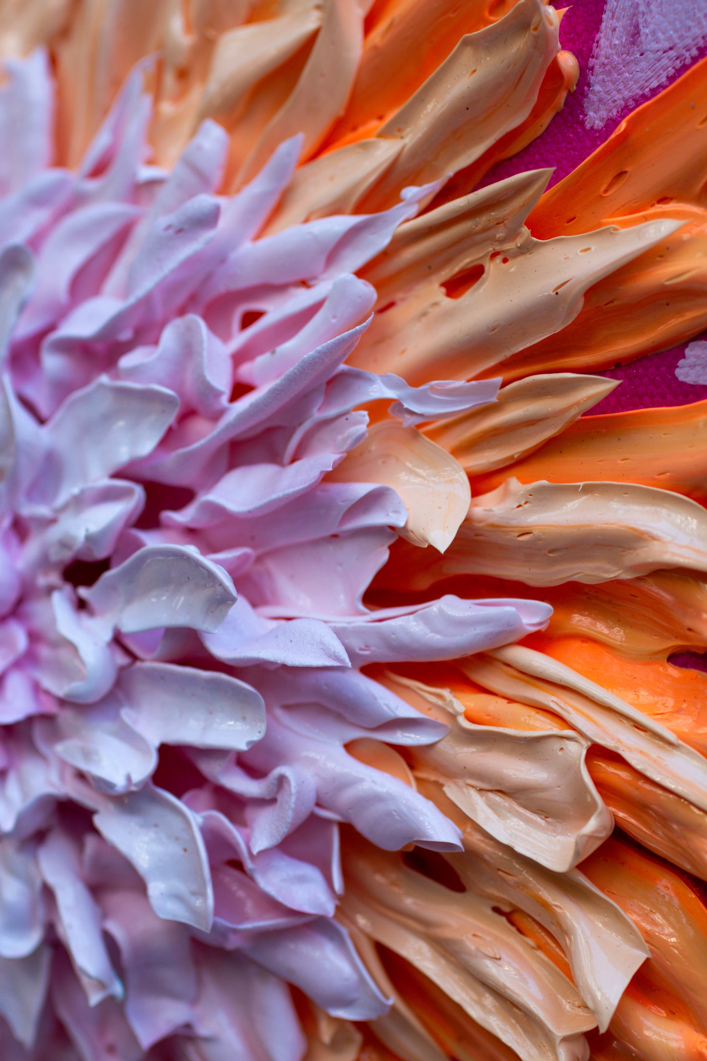 Full Bloom Zinnia