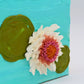 White and Pink Water Lilly