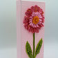 Pink Dahlia