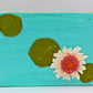 White and Pink Water Lilly